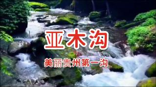 探索奥迪Q5L十大缺点?,加入知识星球平台